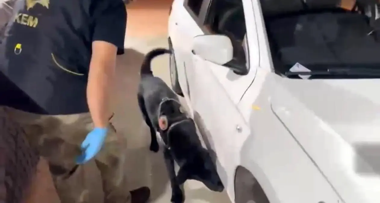 samsunda baba ogul uyusturucu ile yakalandi fqG4UsJr