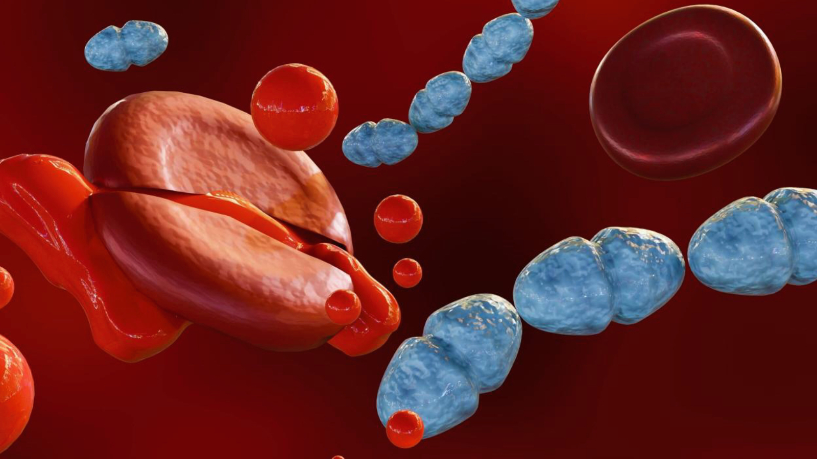 yilda 11 milyona yakin can aliyor dikkat herkes risk grubunda BhUNdSIW