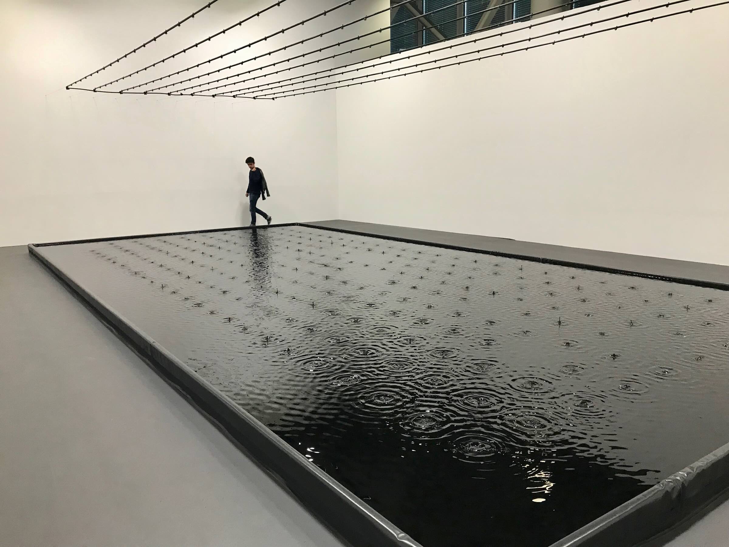 Belu-Simion Fainaru, Rose of Nothingness