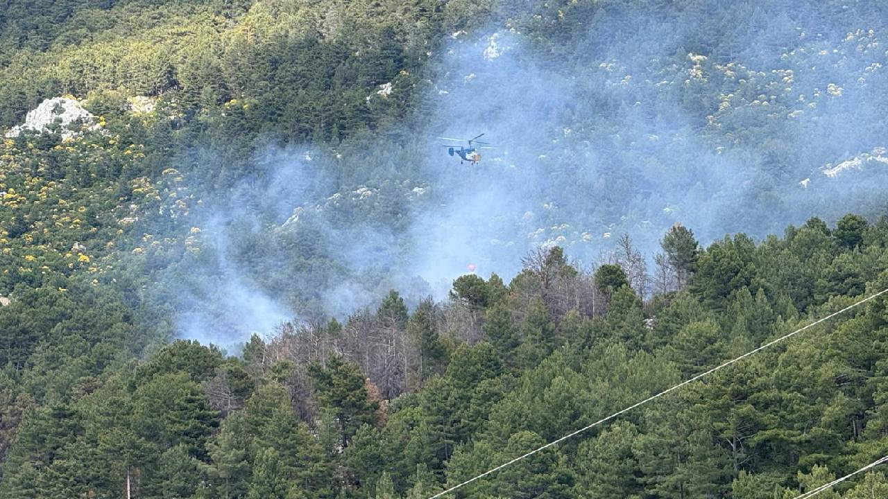 Kaş’ta orman yangını: Havadan ve karadan müdahale başlatıldı