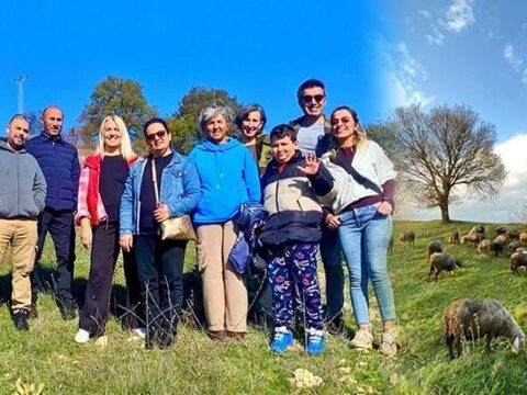 Img